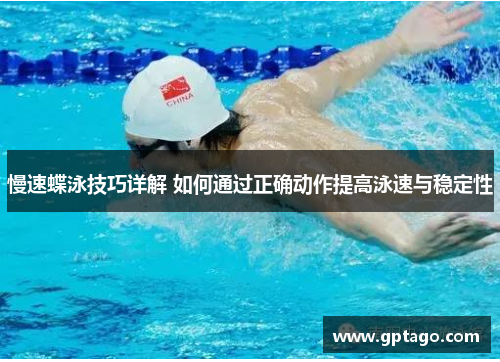 慢速蝶泳技巧详解 如何通过正确动作提高泳速与稳定性