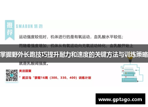 掌握野外长跑技巧提升耐力和速度的关键方法与训练策略
