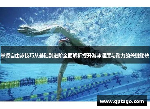 掌握自由泳技巧从基础到进阶全面解析提升游泳速度与耐力的关键秘诀