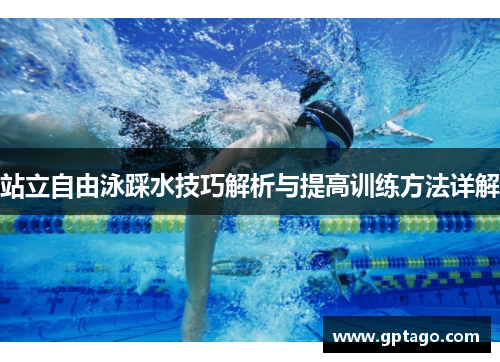 站立自由泳踩水技巧解析与提高训练方法详解