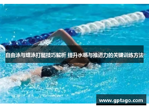 自由泳与蝶泳打腿技巧解析 提升水感与推进力的关键训练方法