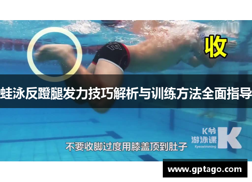 蛙泳反蹬腿发力技巧解析与训练方法全面指导
