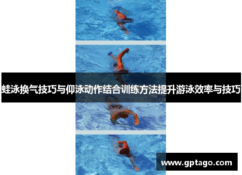 蛙泳换气技巧与仰泳动作结合训练方法提升游泳效率与技巧